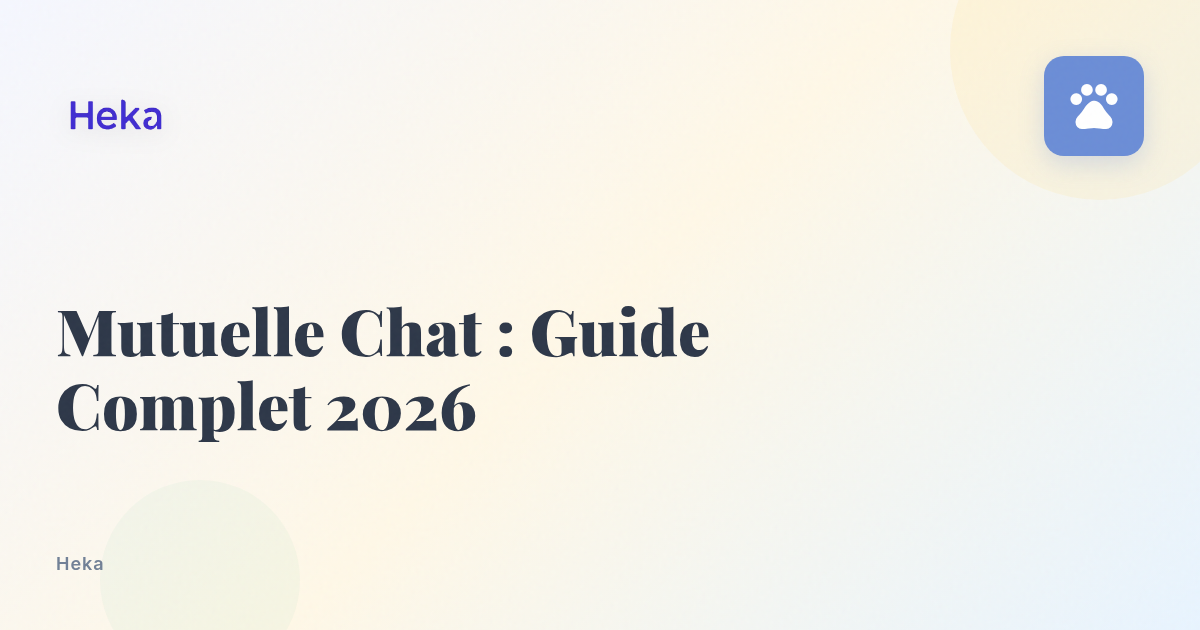 Mutuelle Chat : Prix, Garanties et Comparatif 2026