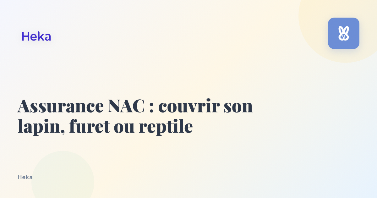 Assurance NAC : couvrir son lapin, furet ou reptile